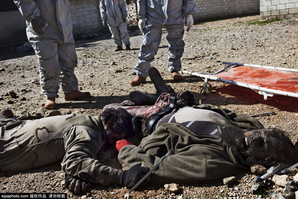 叙利亚工作队收集尸体掩埋乱葬岗 叙利亚工作队收集尸体掩埋乱葬岗