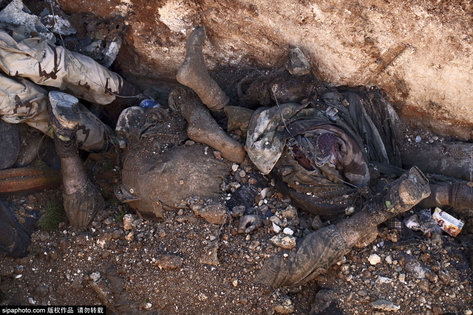 叙利亚工作队收集尸体掩埋乱葬岗 叙利亚工作队收集尸体掩埋乱葬岗